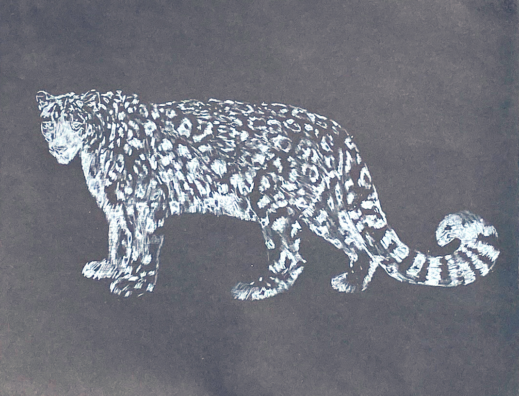 Thoughtful snow leopard (3), Intagliotypie (Polymer-Print), 20 x 25 cm, 2023 © Agnes Christine Katschner