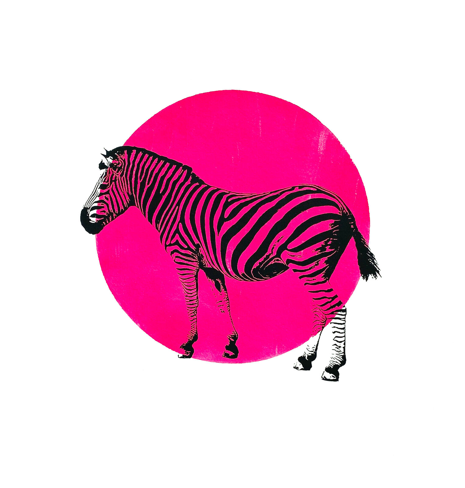Zebra Pink, Siebdruck, 30 x 30 cm, 2023 © Agnes Christine Katschner
