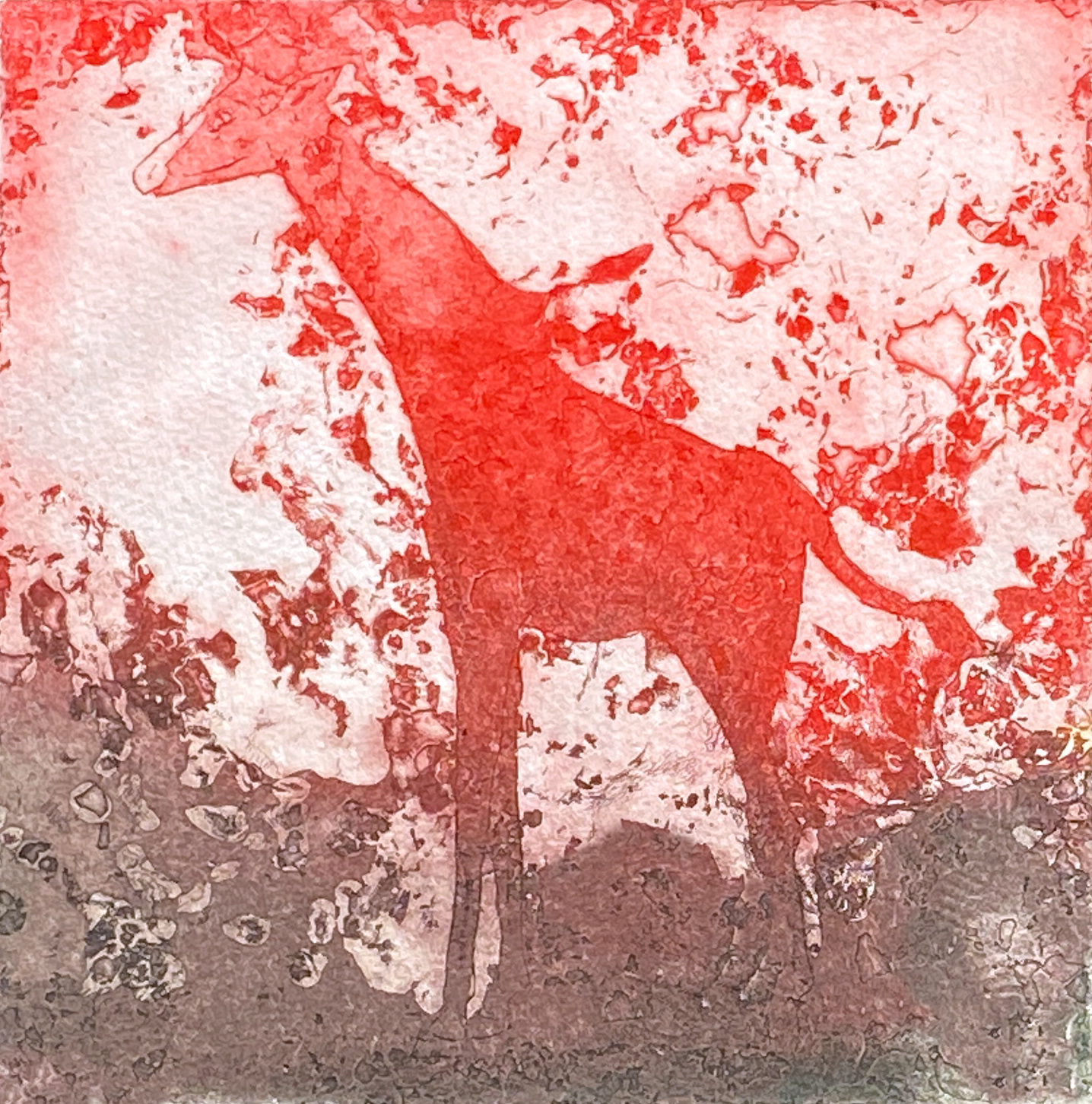 Jirafa roja, Radierung mit Aquatinta und Jaspeado (Marmorierung) 20 x 20 cm, 2022 © Agnes Christine Katschner