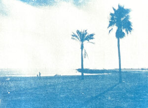 Barceloneta Cyano