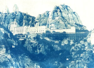 Montserat Cyano