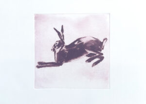 Hare