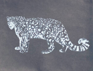 Thoughtful snow leopard (3)
