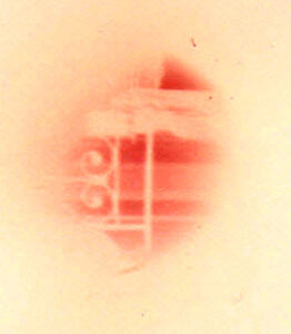 Unknown 7