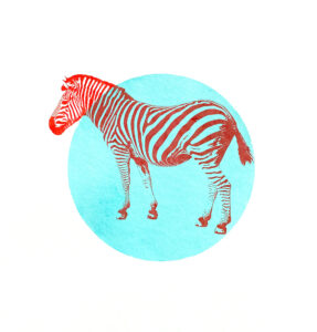 Zebra Cyan