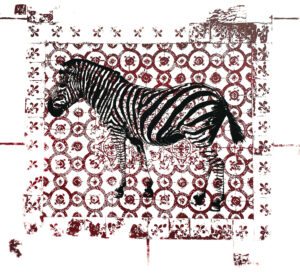 Zebra in Akko